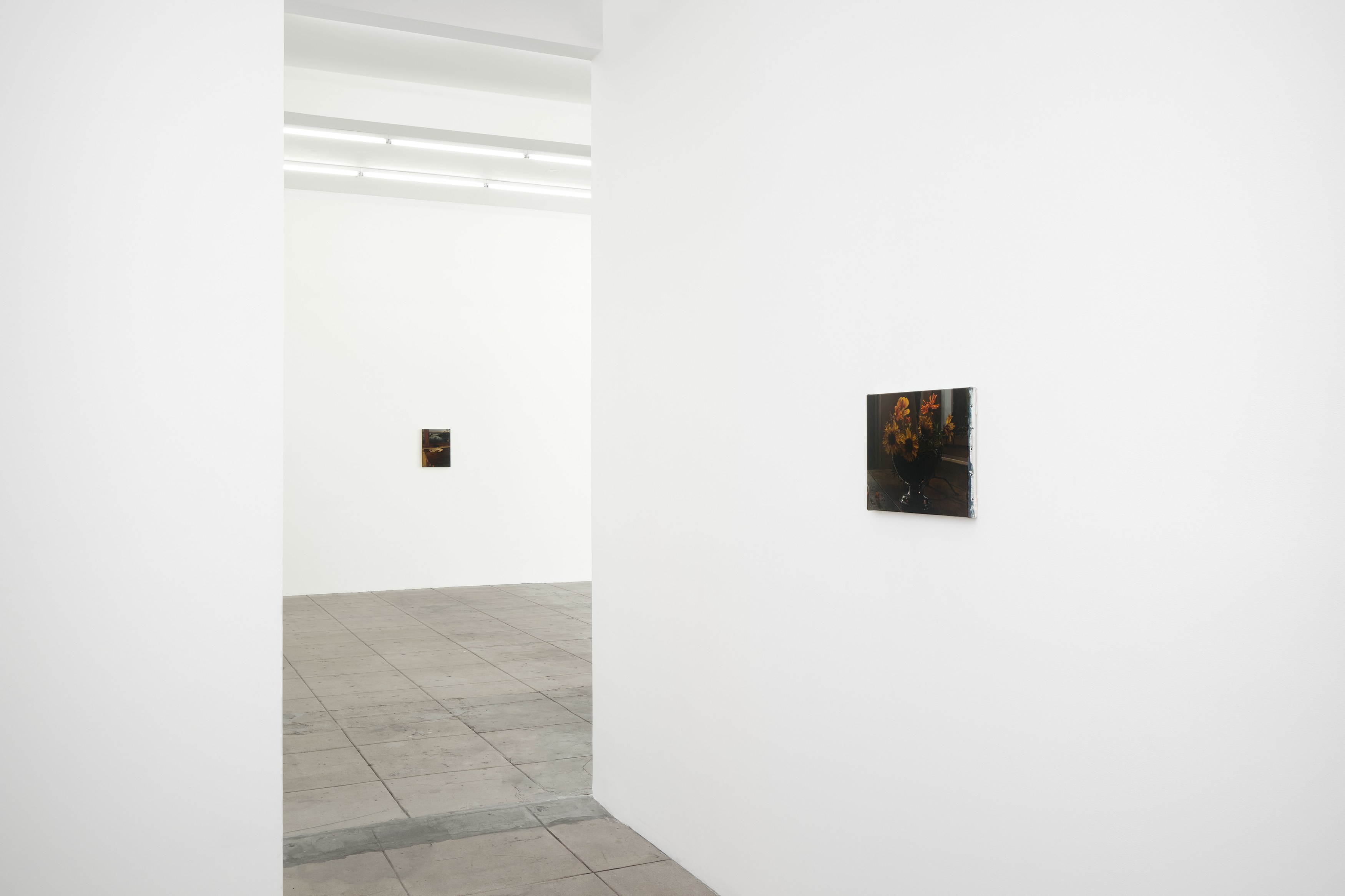 Nicholas Bierk, The Beauty and the Horror at Overduin and Kite, photo 8