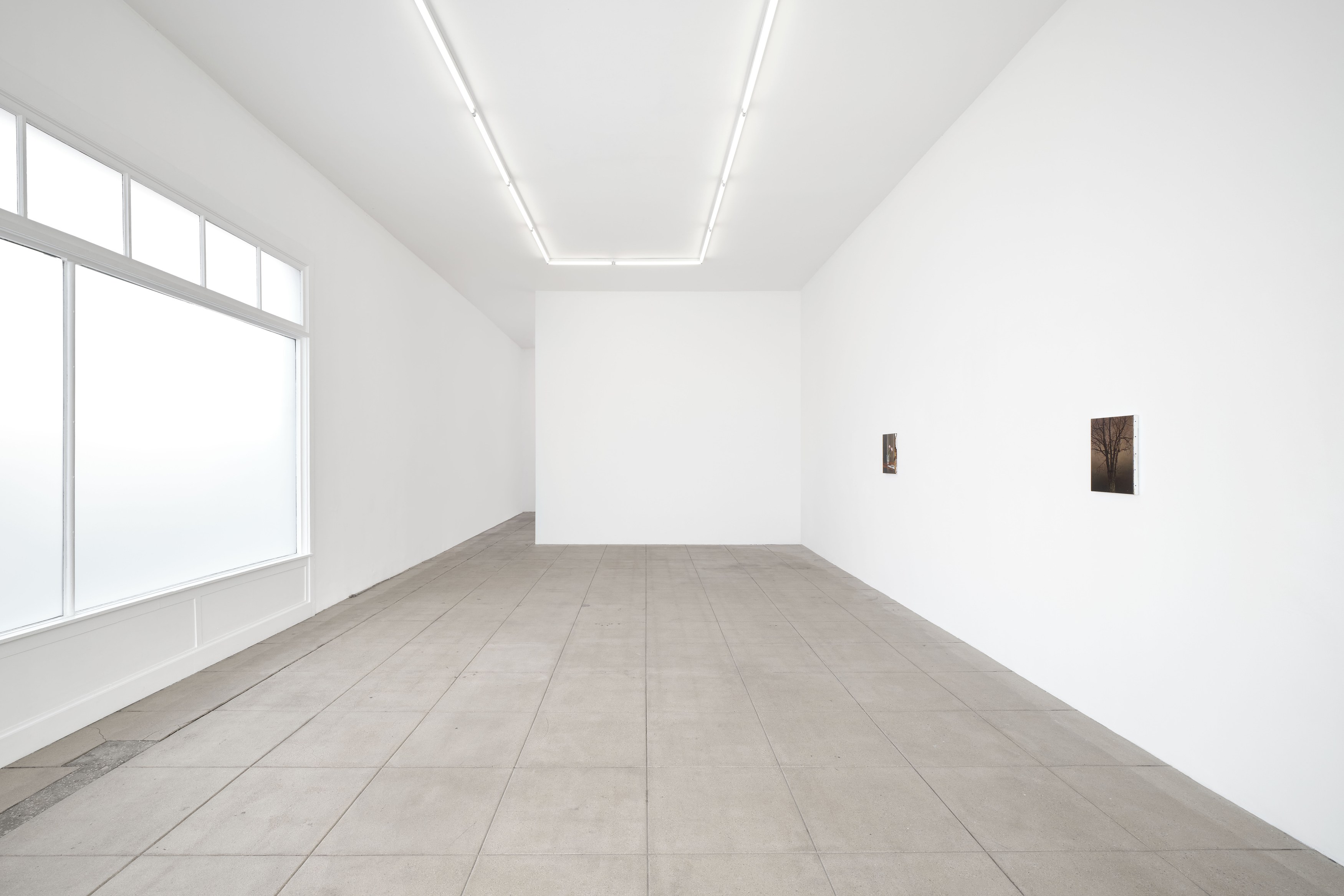 Nicholas Bierk, The Beauty and the Horror at Overduin and Kite, photo 5