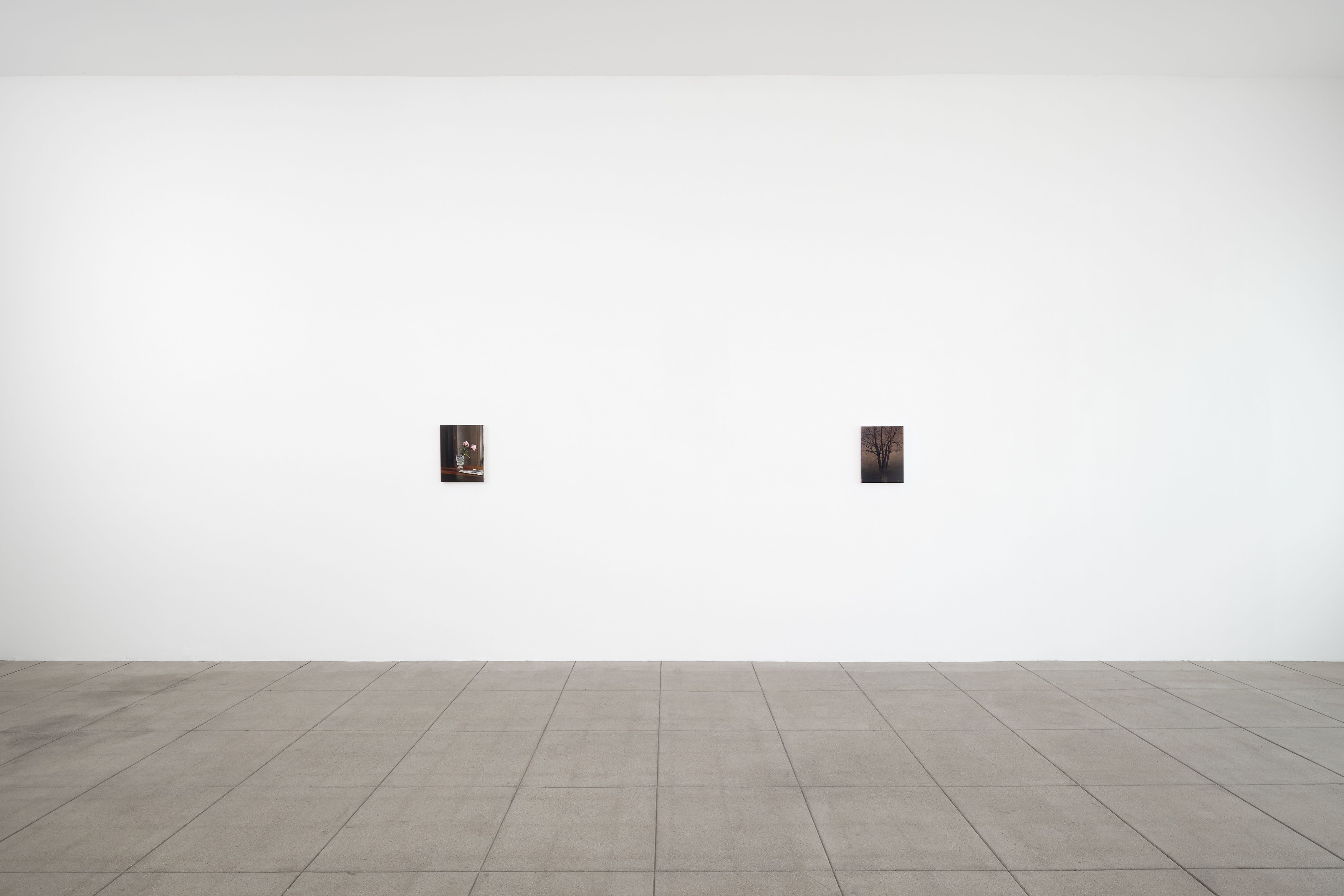 Nicholas Bierk, The Beauty and the Horror at Overduin and Kite, photo 4