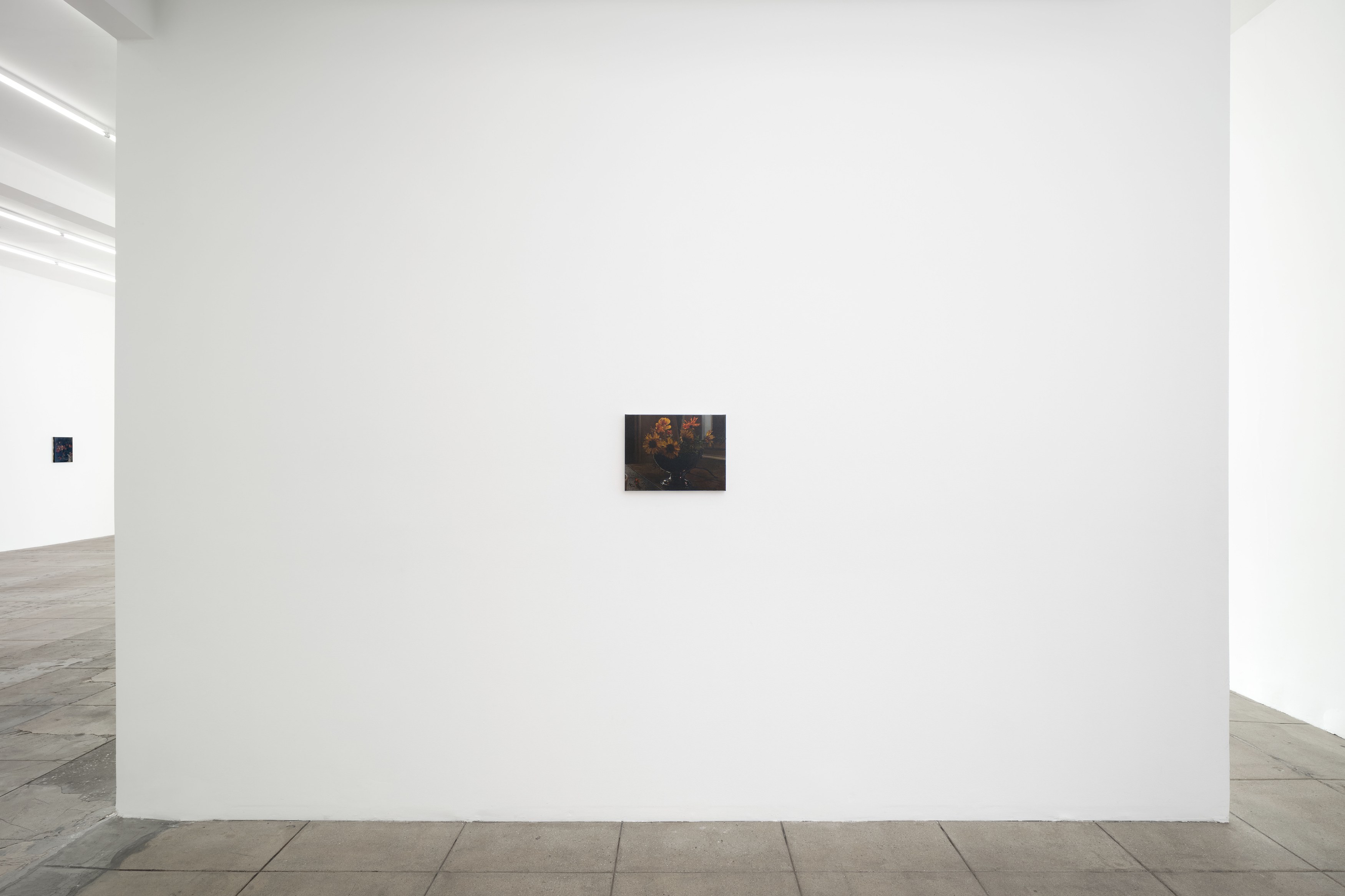 Nicholas Bierk, The Beauty and the Horror at Overduin and Kite, photo 6