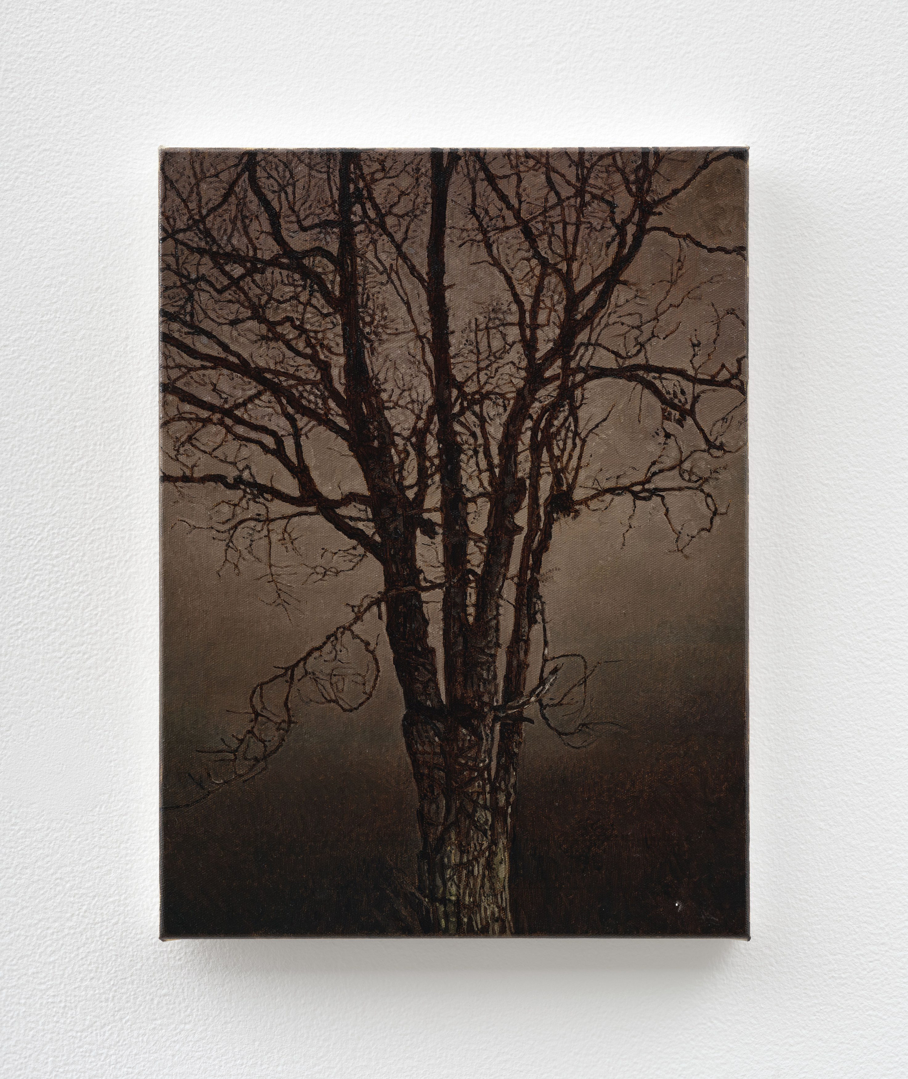 Nicholas Bierk, The Beauty and the Horror at Overduin and Kite, photo 3