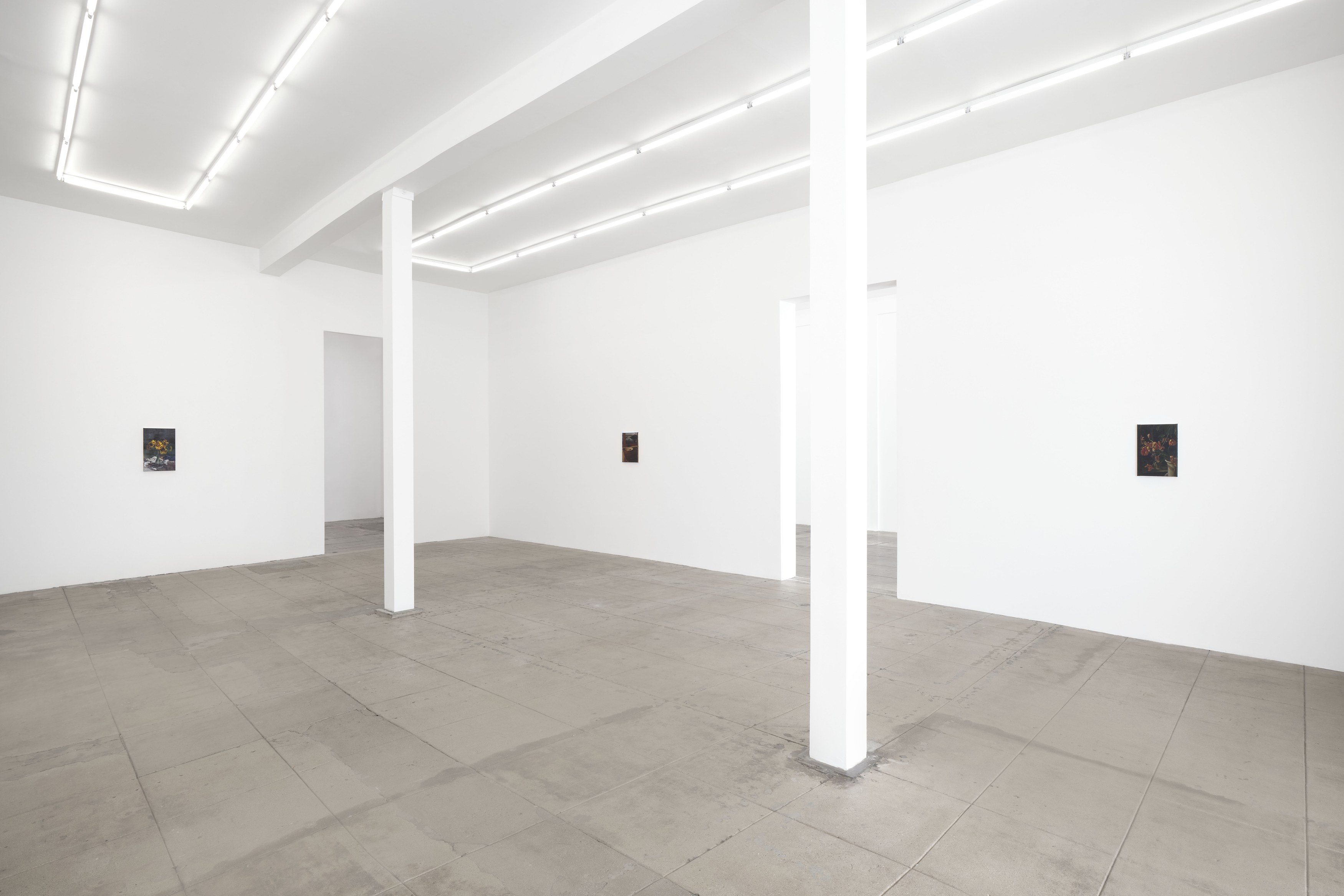 Nicholas Bierk, The Beauty and the Horror at Overduin and Kite, photo 9
