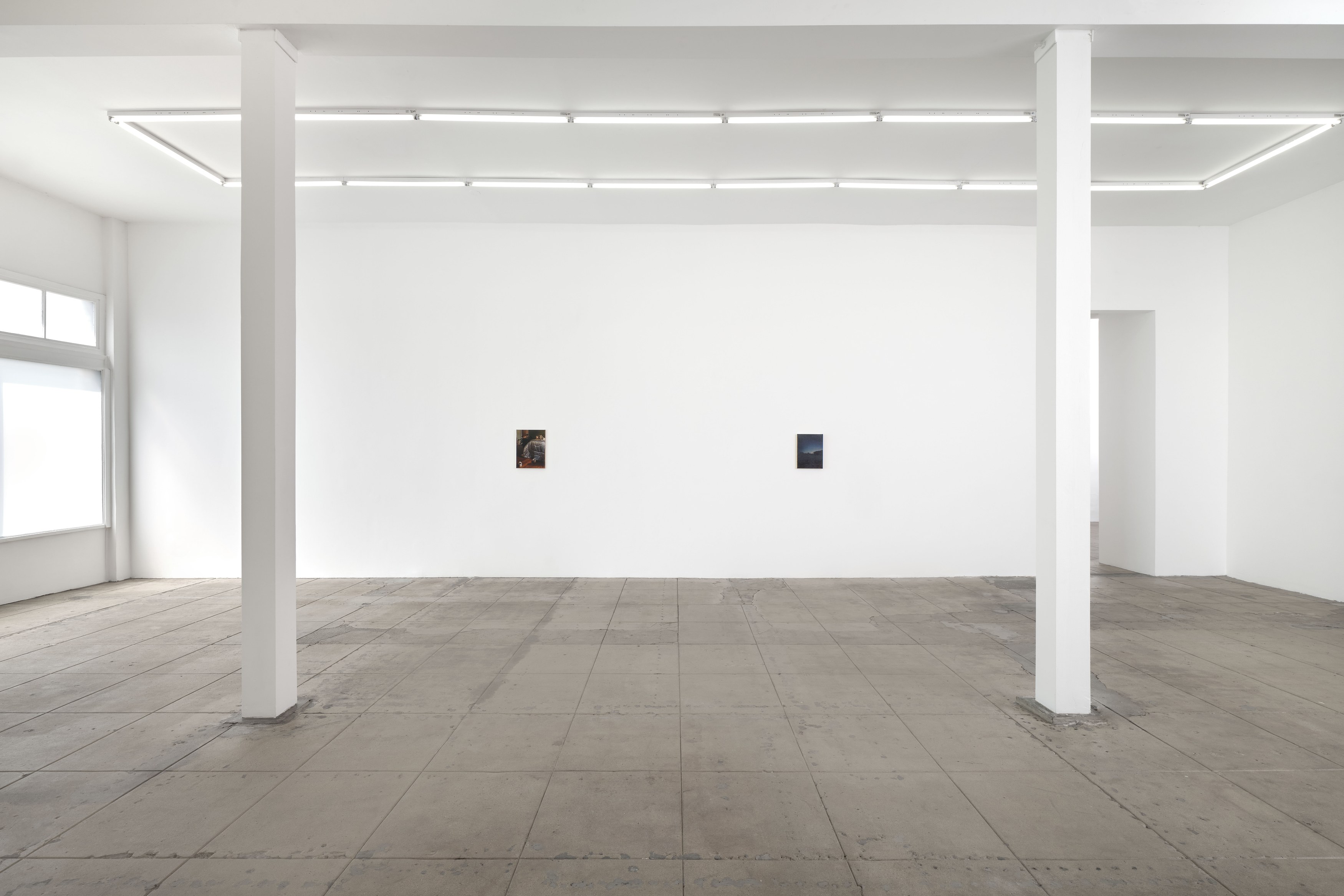 Nicholas Bierk, The Beauty and the Horror at Overduin and Kite, photo 14