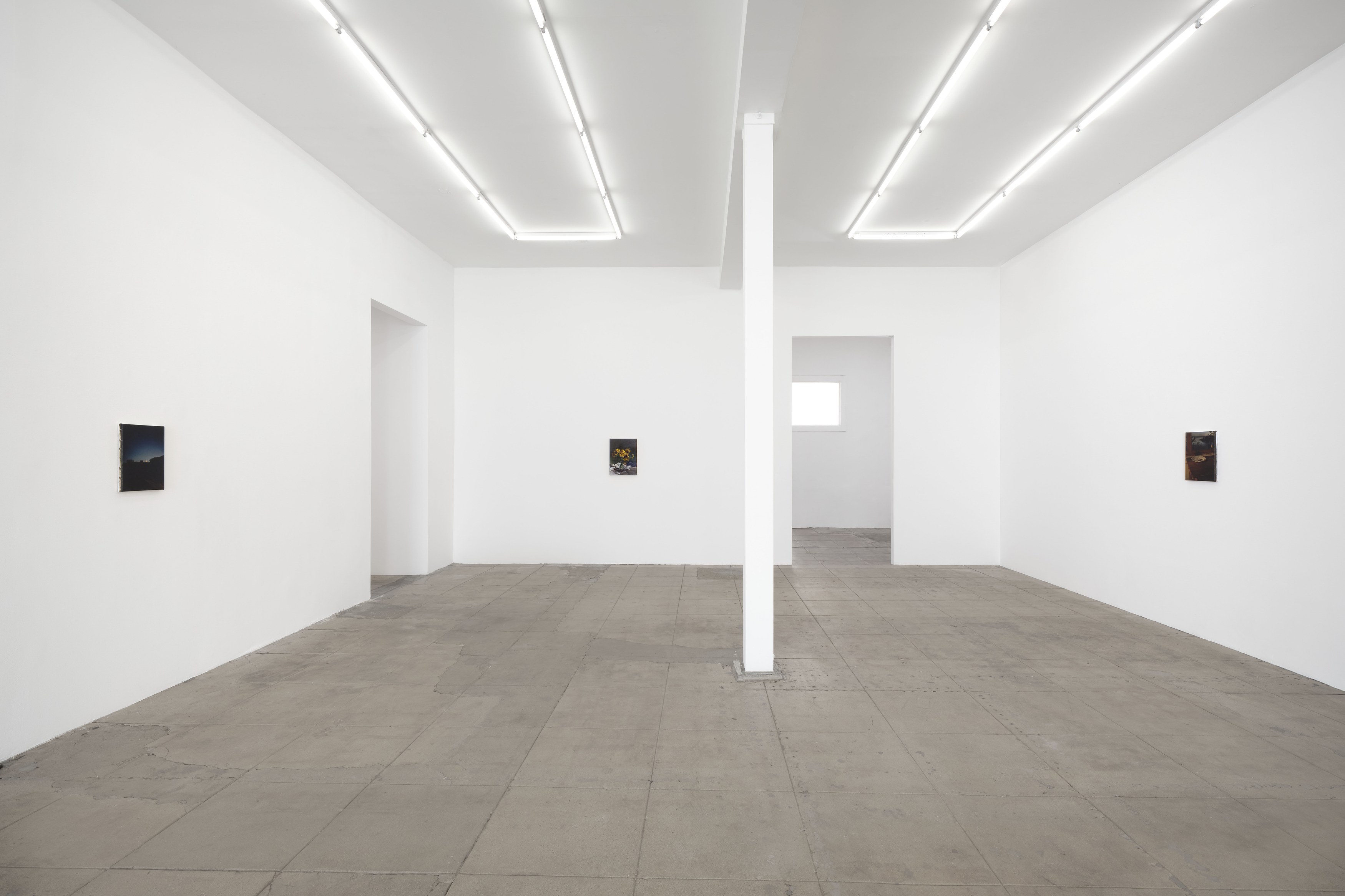 Nicholas Bierk, The Beauty and the Horror at Overduin and Kite, photo 19