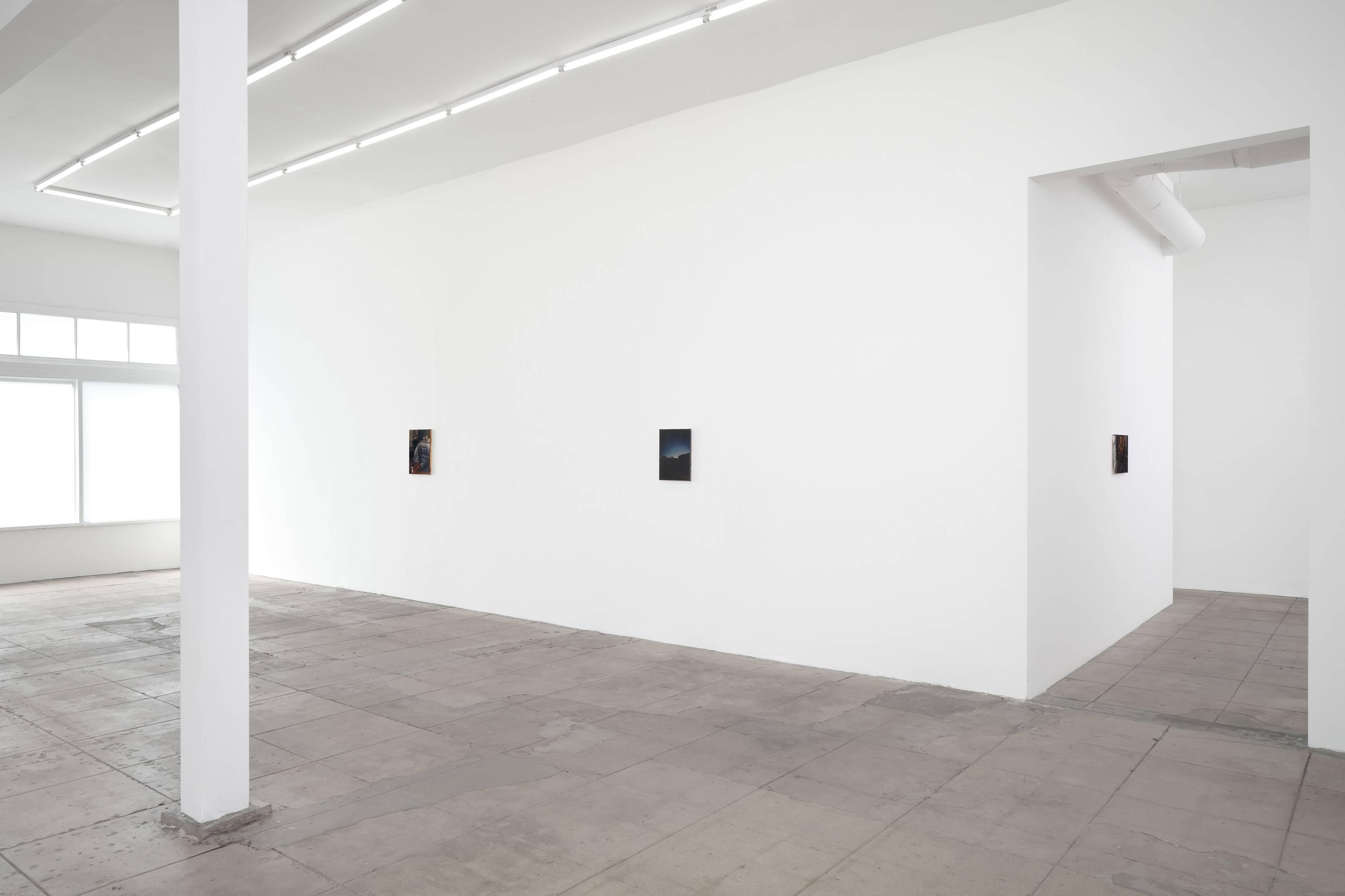 Nicholas Bierk, The Beauty and the Horror at Overduin and Kite, photo 18