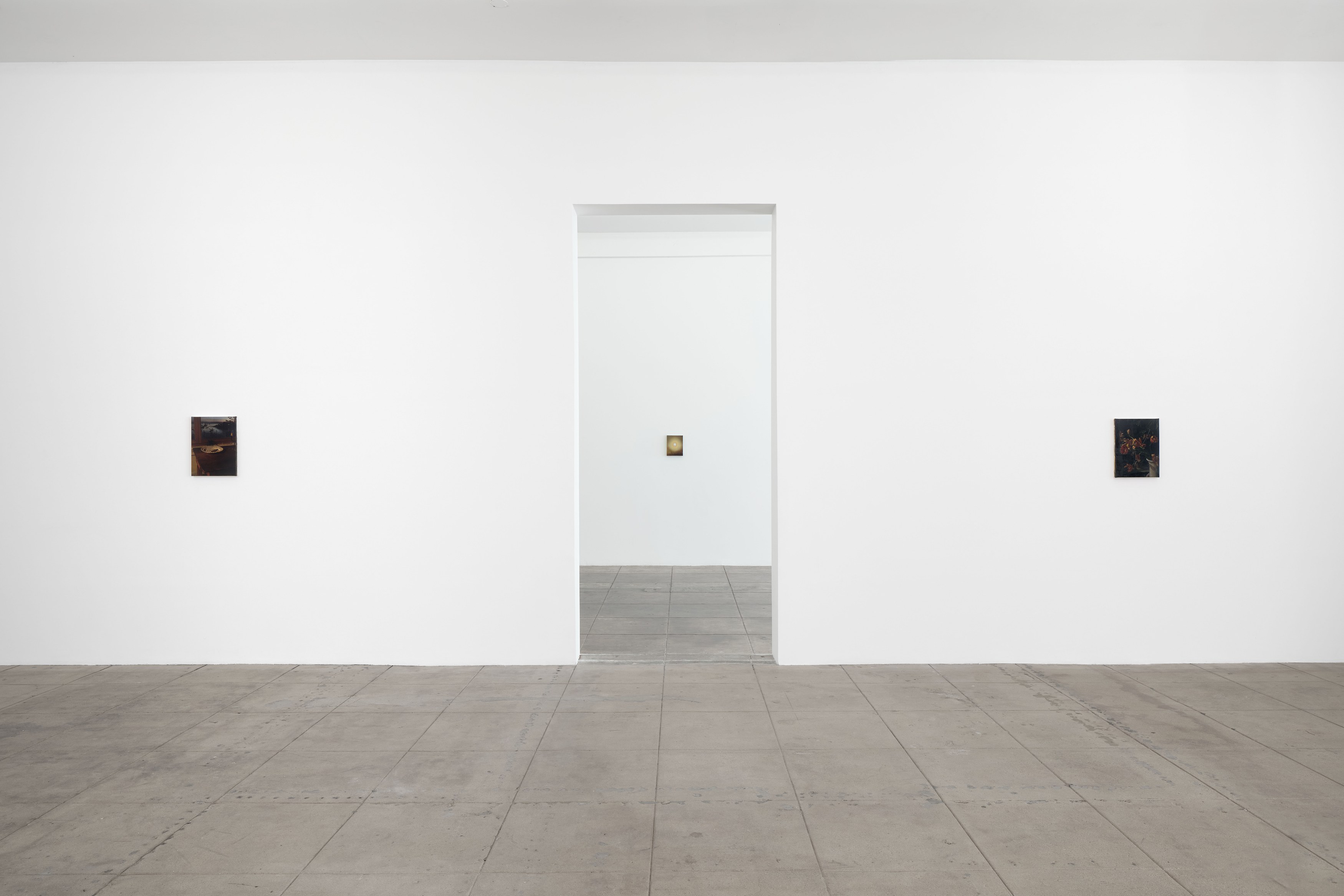 Nicholas Bierk, The Beauty and the Horror at Overduin and Kite, photo 21