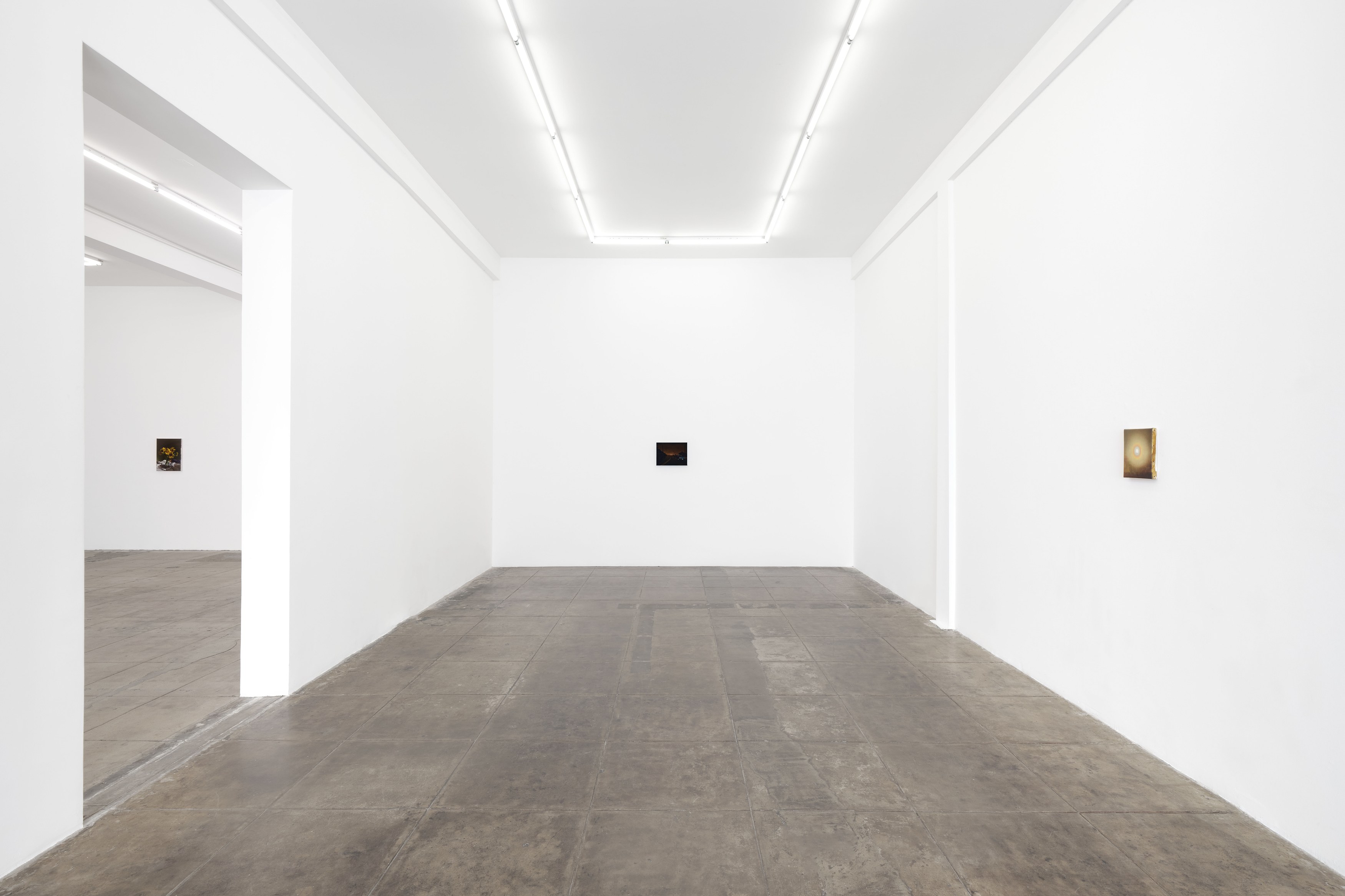 Nicholas Bierk, The Beauty and the Horror at Overduin and Kite, photo 24