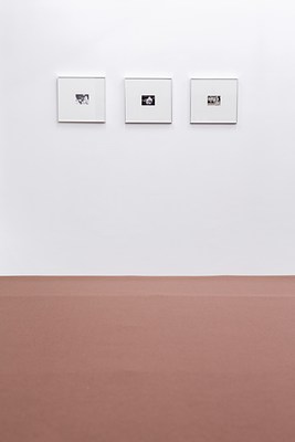 Image 4 of 24