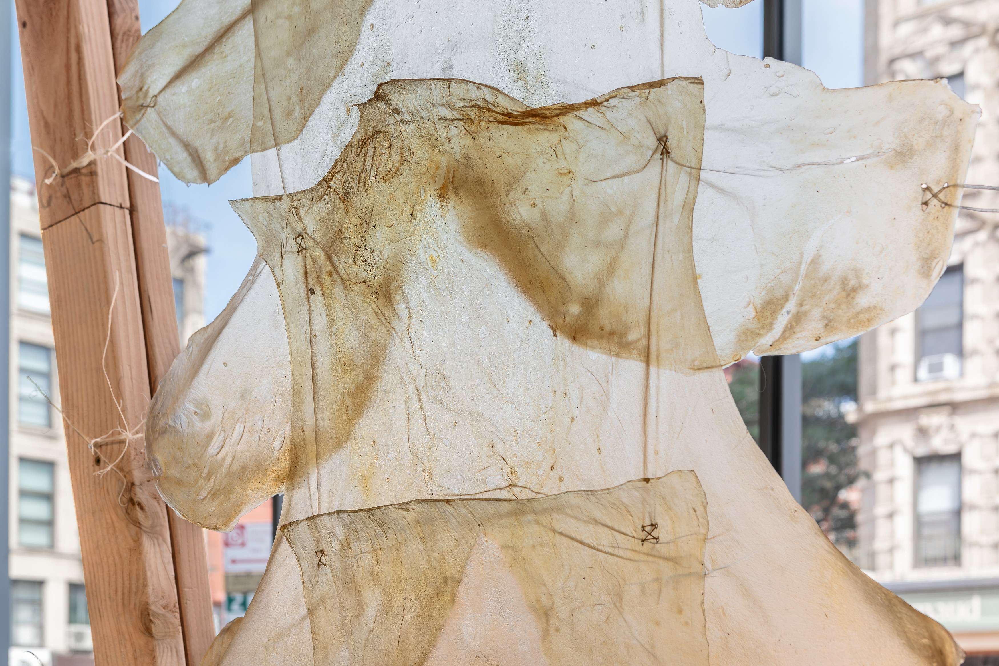 Energies, Energies at Swiss Institute, photo 14