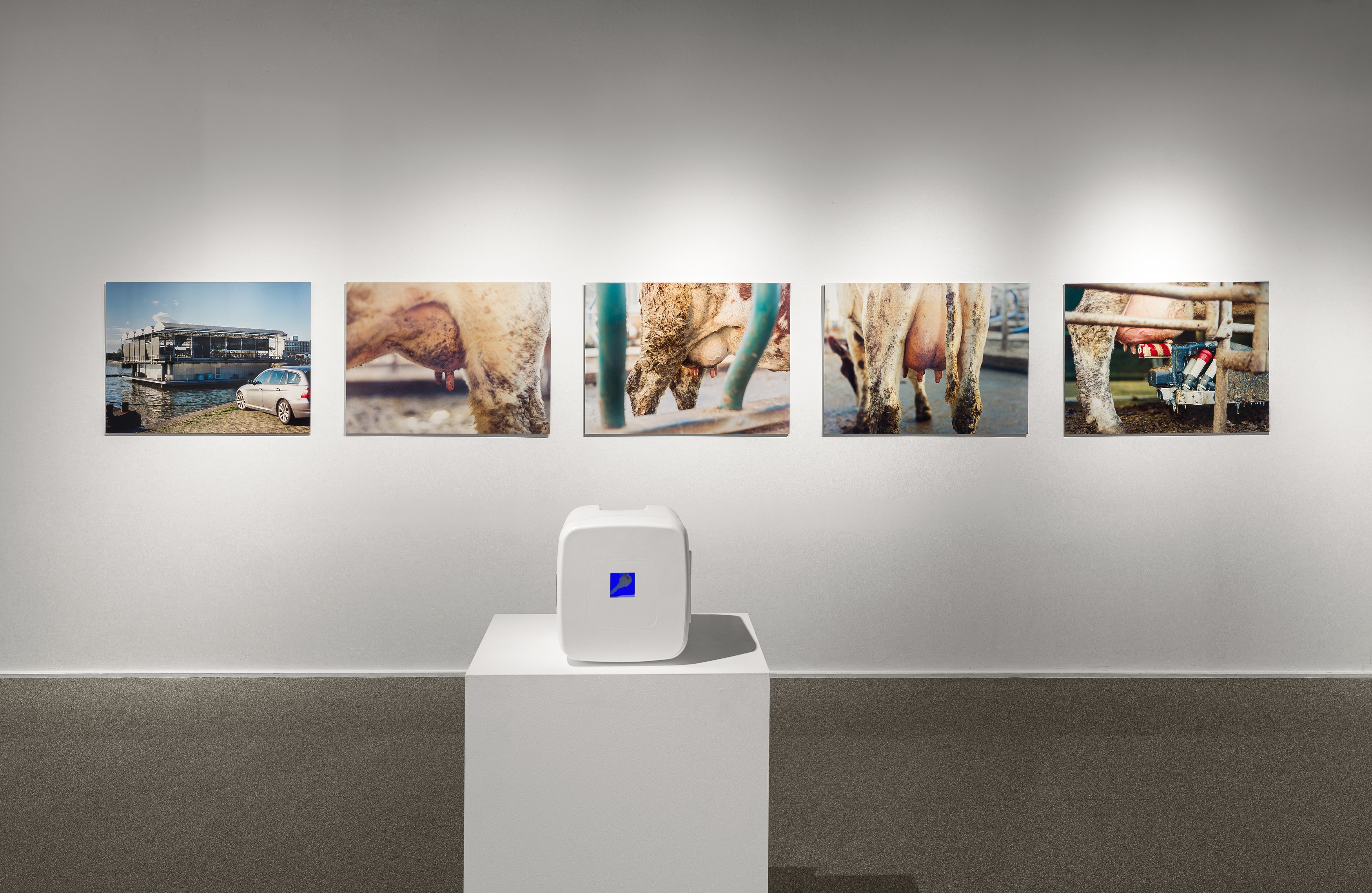 Energies, Energies at Swiss Institute, photo 23