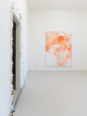 Image 7 of 12