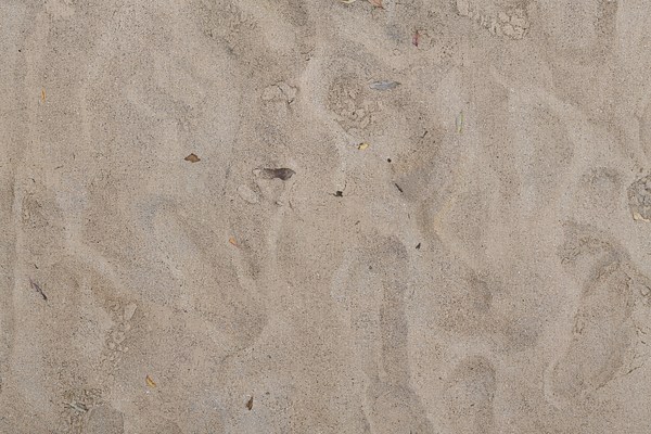 Image 14 of 34