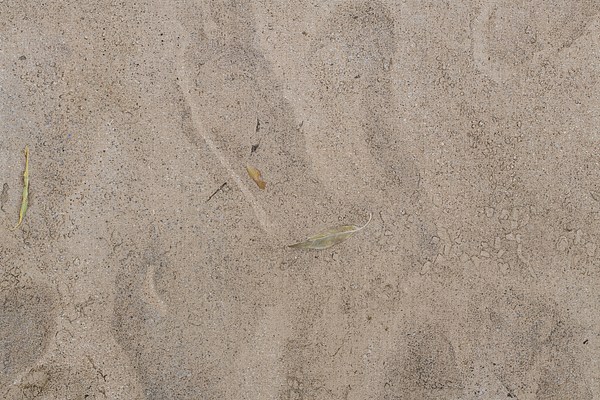 Image 16 of 34