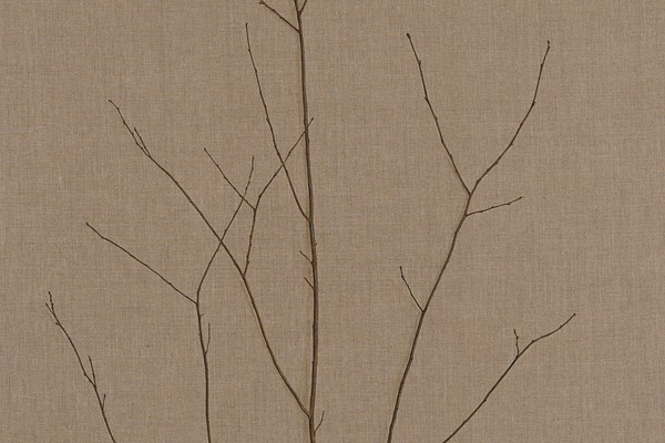 Image 20 of 34