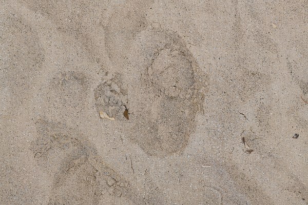 Image 15 of 34