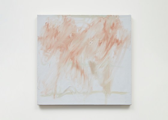 Image 11 of 21