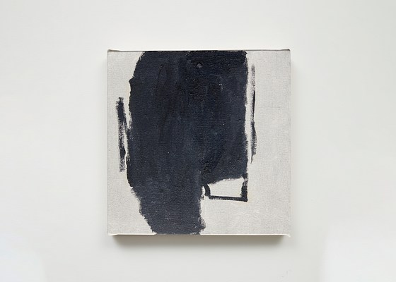 Image 15 of 21