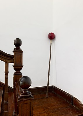 Image 7 of 41