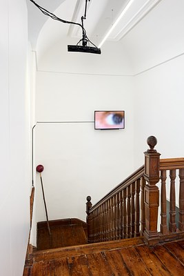 Image 9 of 41