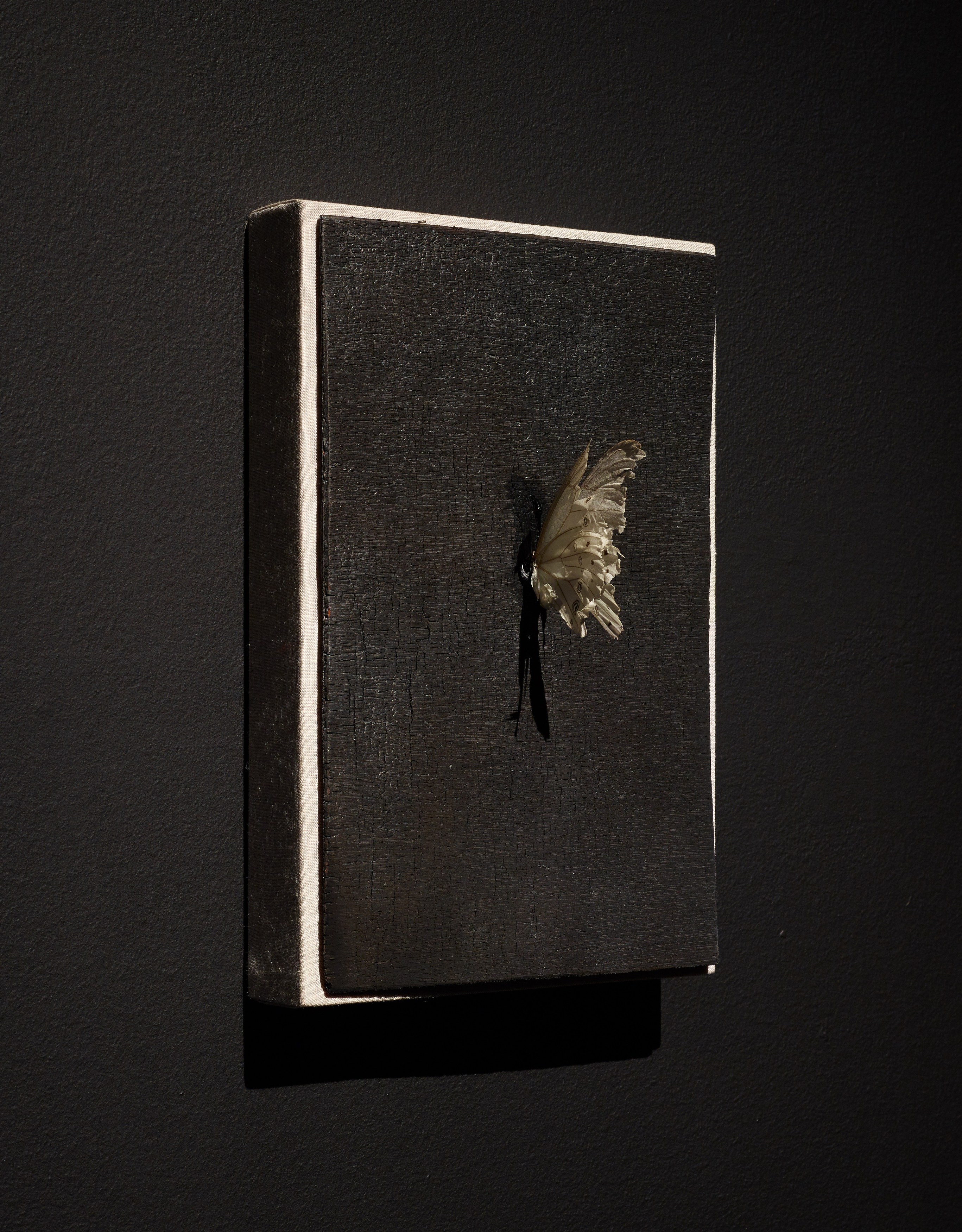 Martín Soto Climent, Temazcal at Michael Benevento Gallery, photo 21