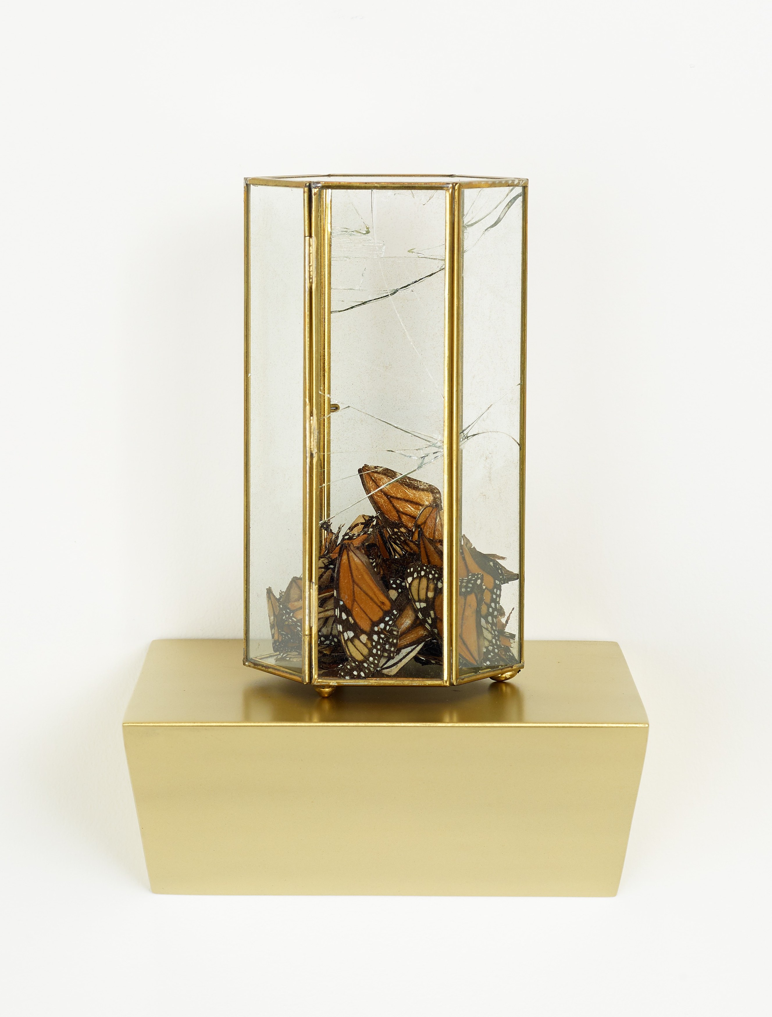 Martín Soto Climent, Temazcal at Michael Benevento Gallery, photo 28