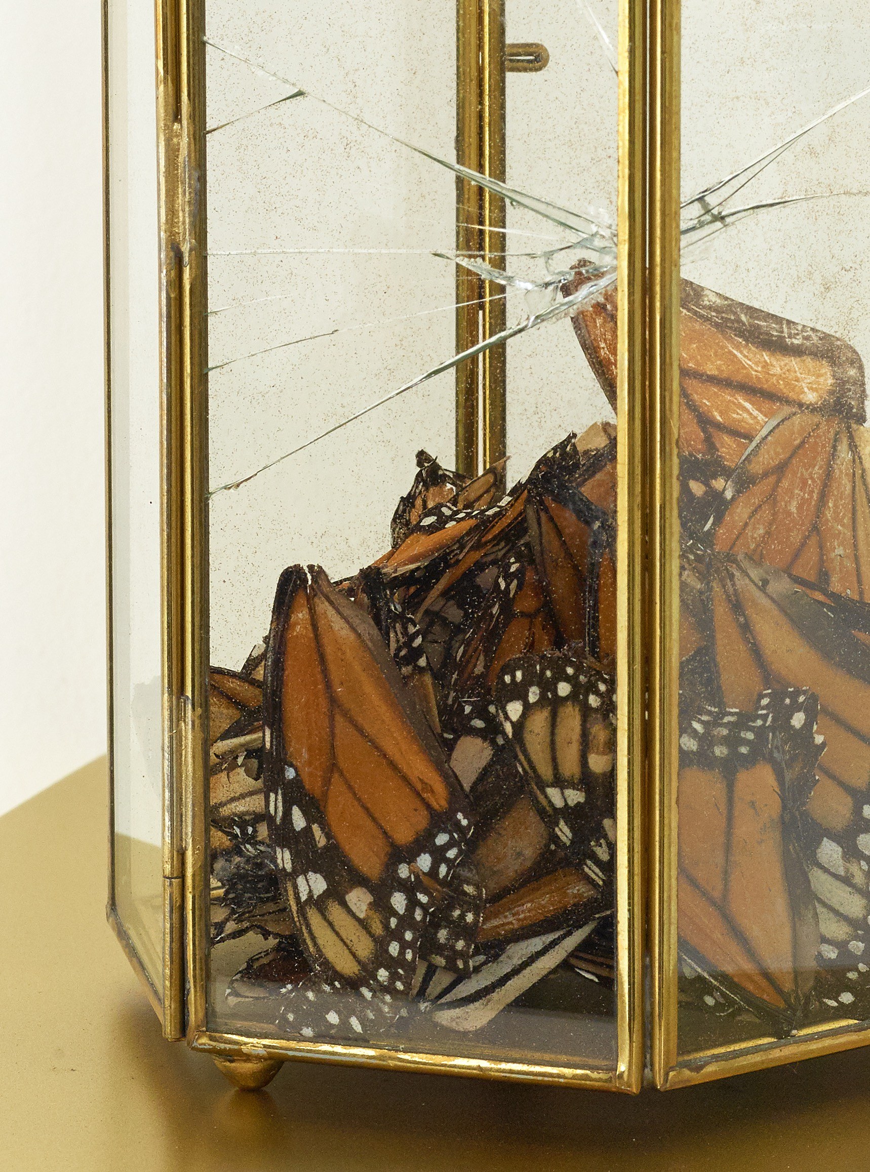 Martín Soto Climent, Temazcal at Michael Benevento Gallery, photo 29