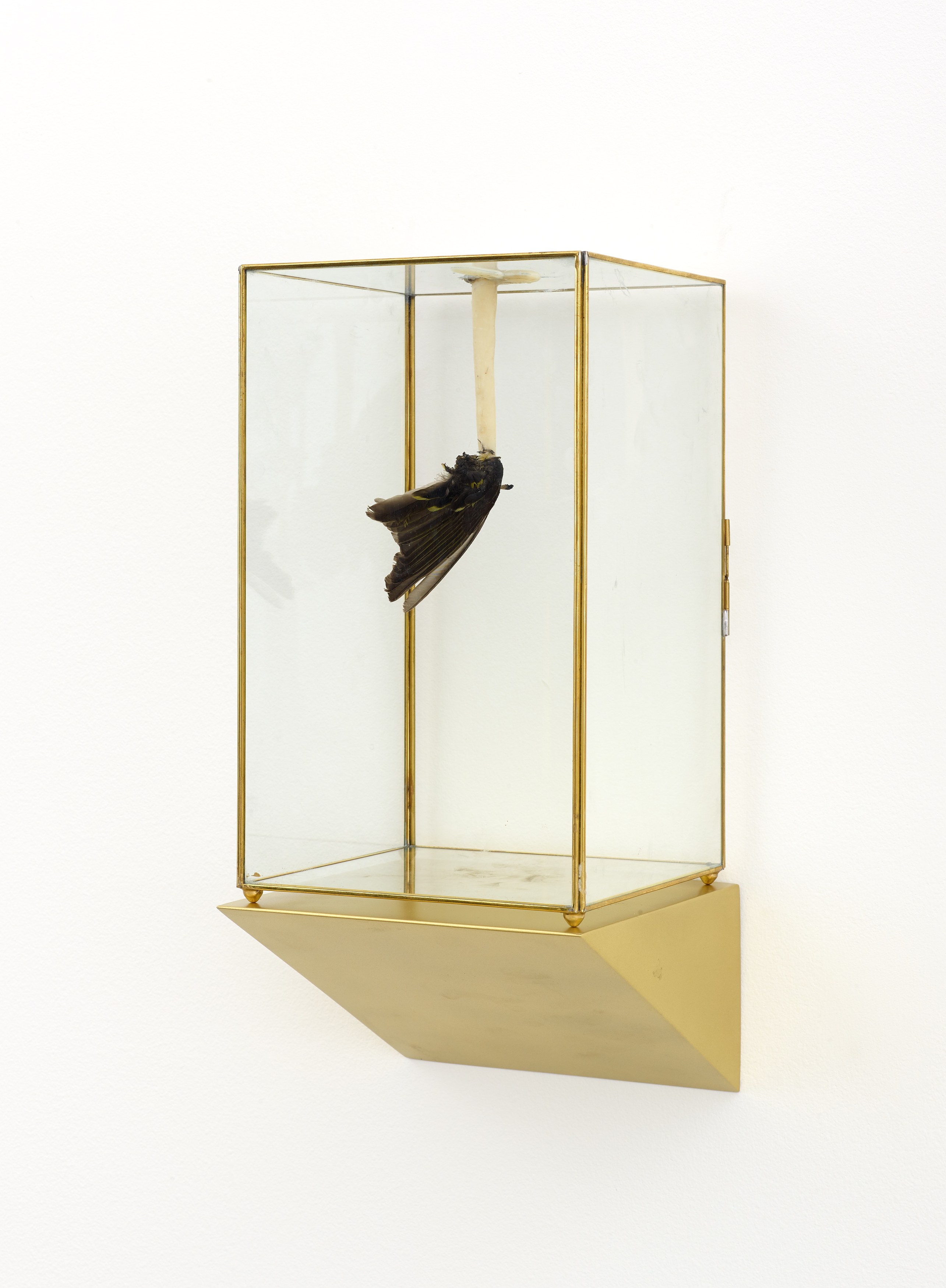 Martín Soto Climent, Temazcal at Michael Benevento Gallery, photo 30