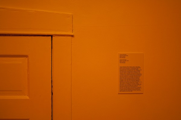 Image 6 of 20