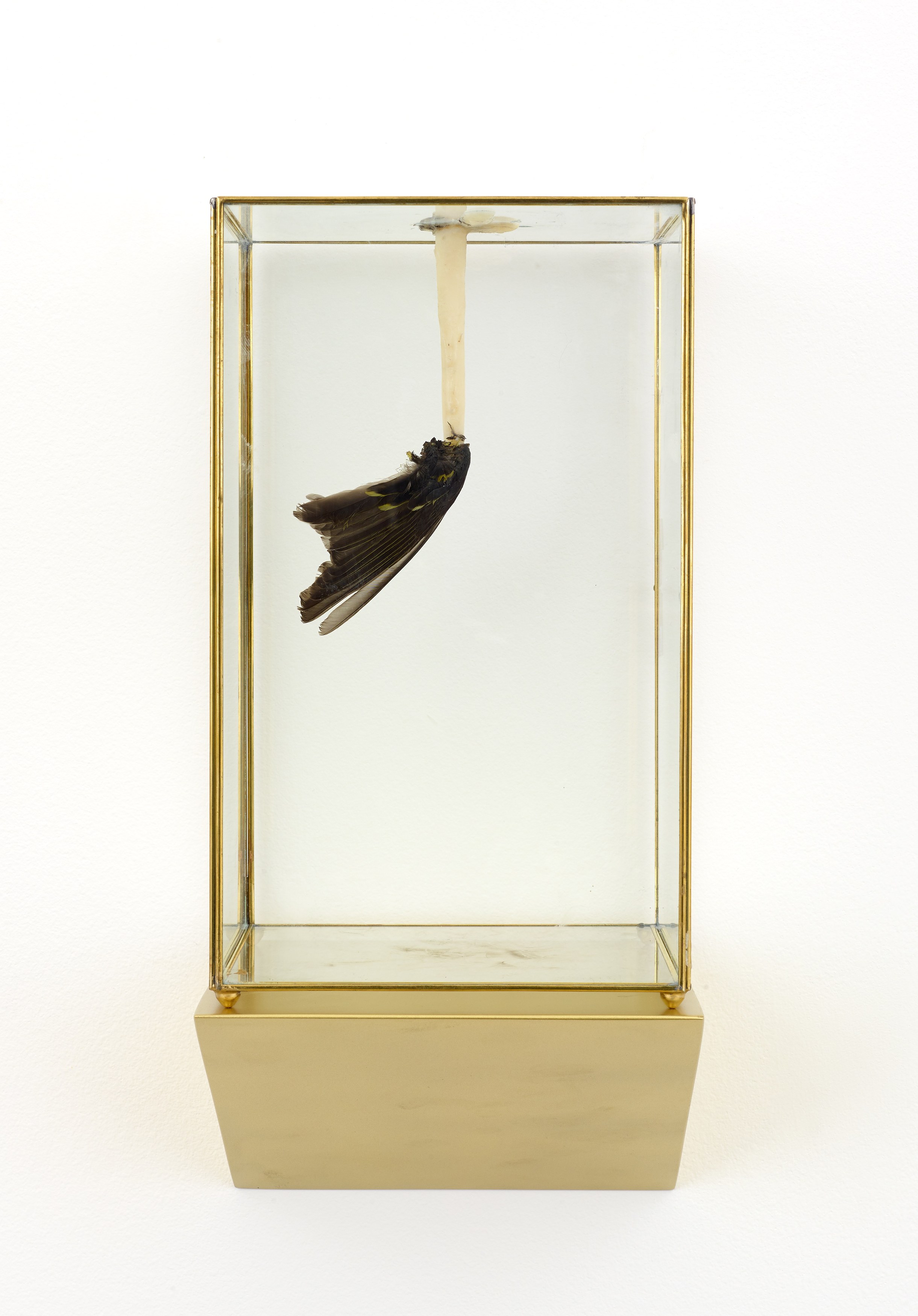 Martín Soto Climent, Temazcal at Michael Benevento Gallery, photo 31
