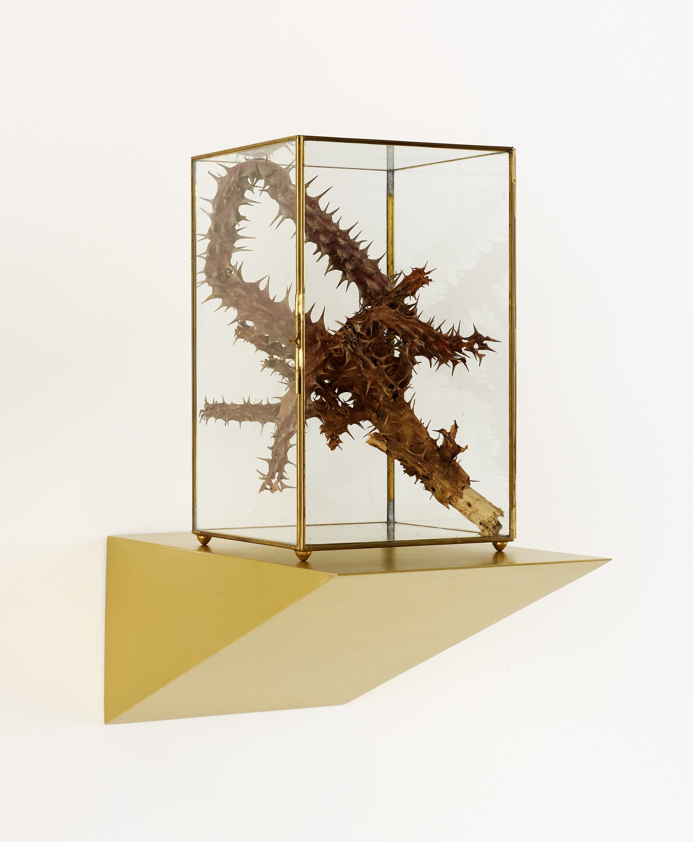 Martín Soto Climent, Temazcal at Michael Benevento Gallery, photo 32