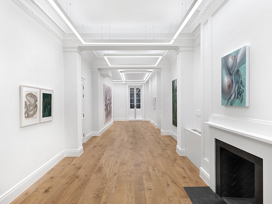 Image 1 of 32