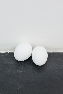 Image 17 of 21