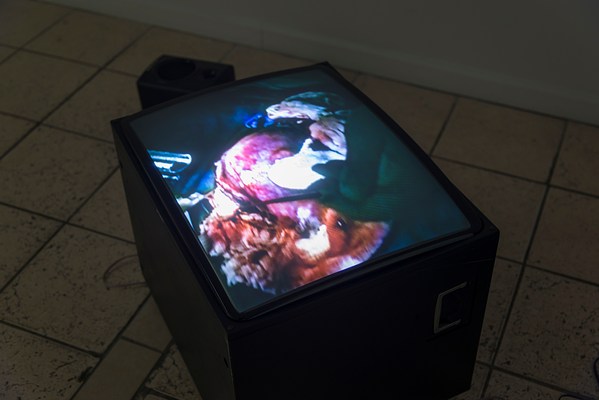 Image 21 of 21