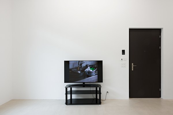 Image 4 of 17