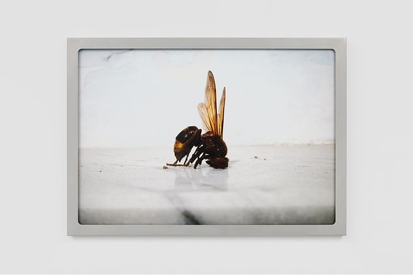 Image 12 of 13