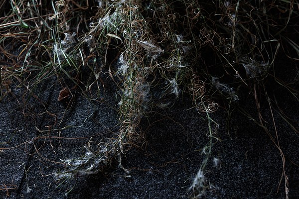 Image 15 of 25