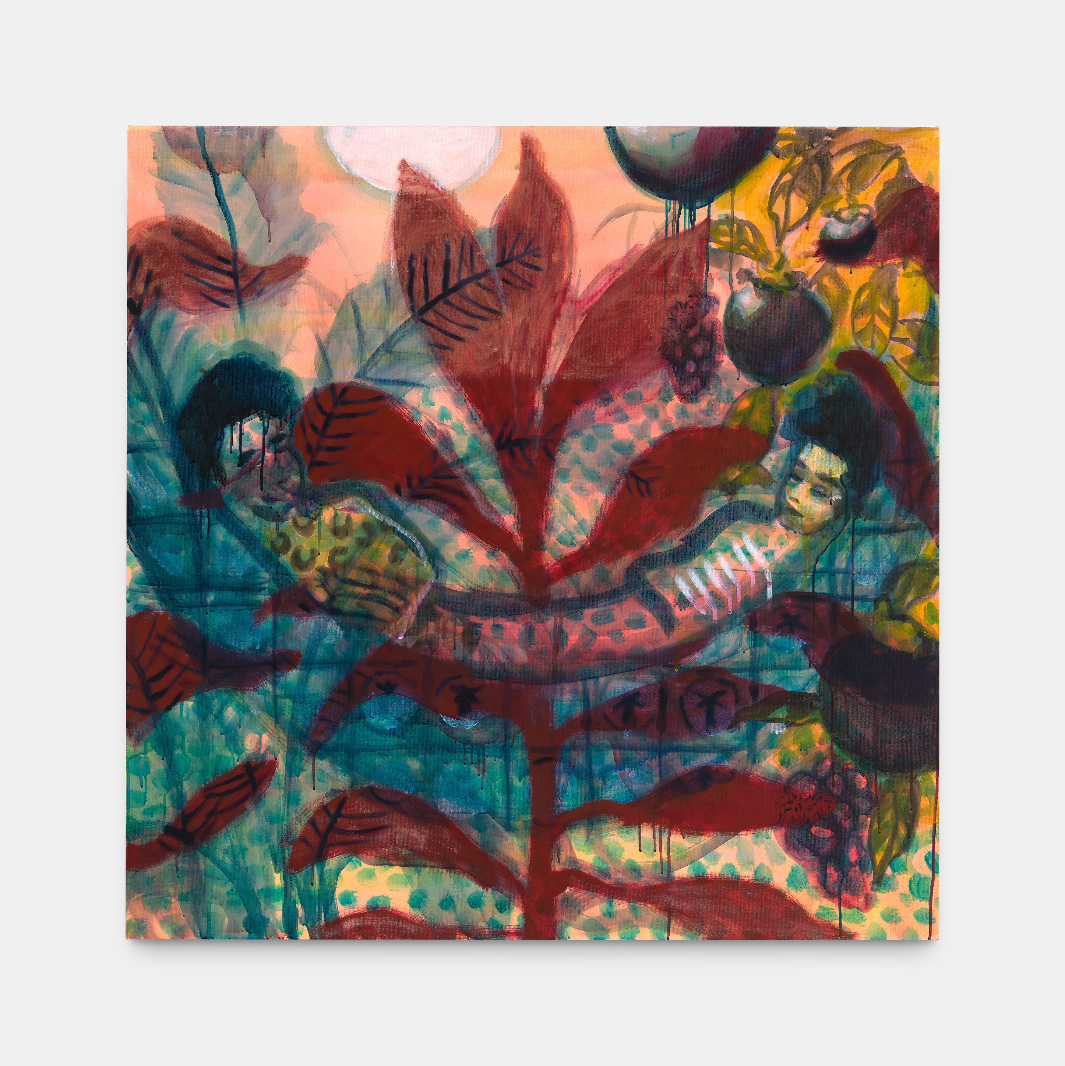 Miko Veldkamp, Buketan at Alice Amati, photo 11