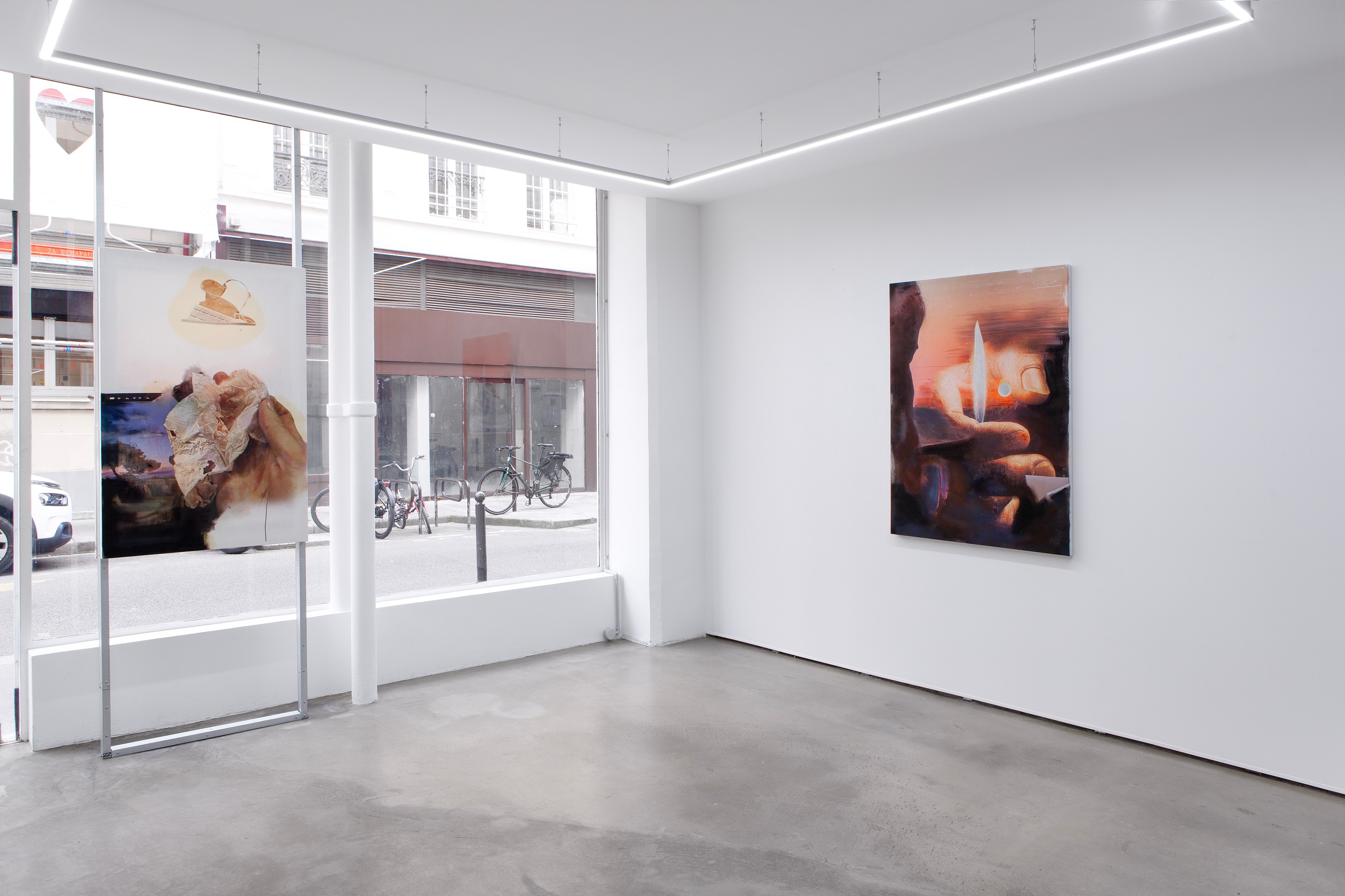 Gaspar Willmann, My ligature room in a glass house at Exo Exo, photo 4
