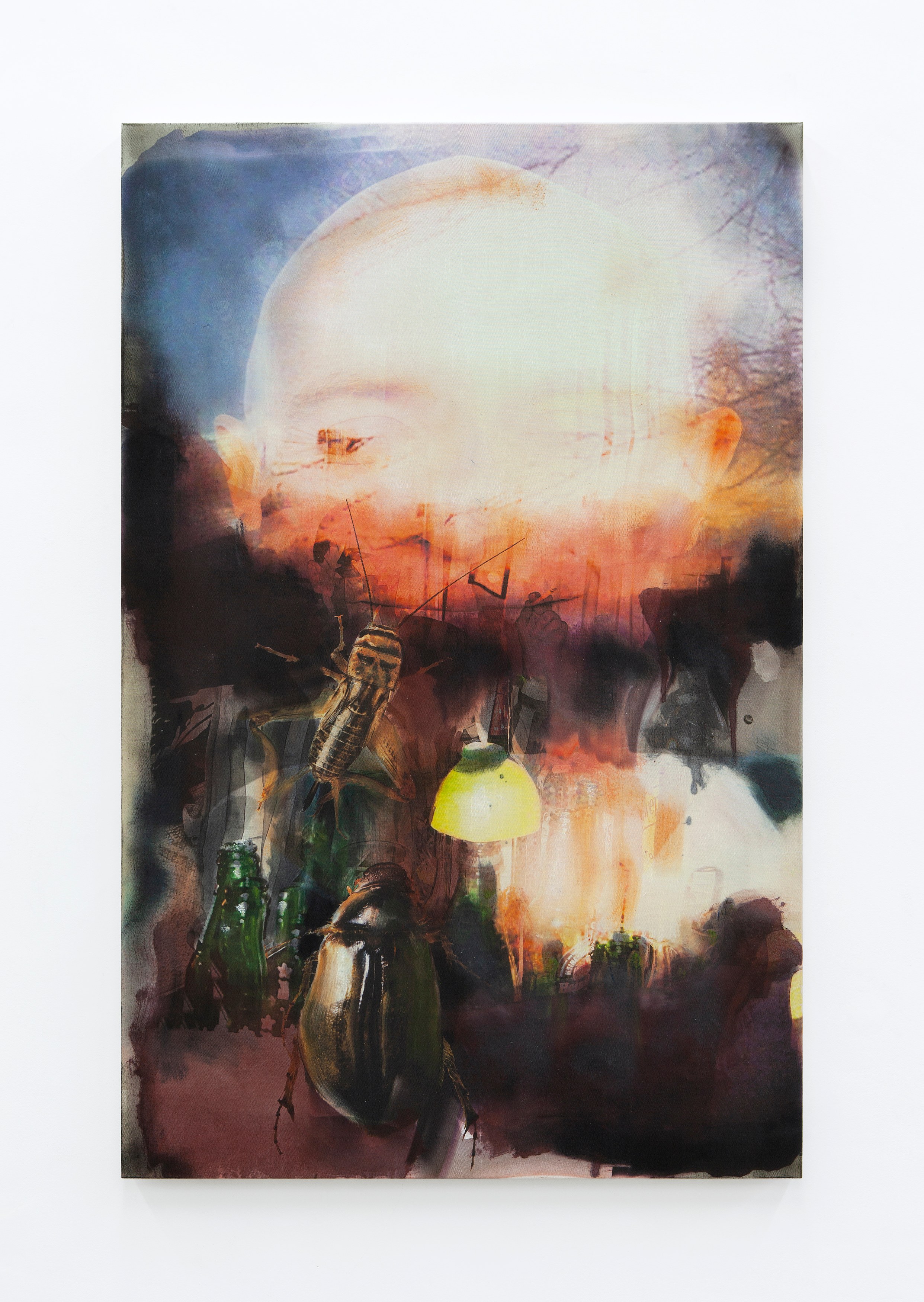 Gaspar Willmann, My ligature room in a glass house at Exo Exo, photo 20
