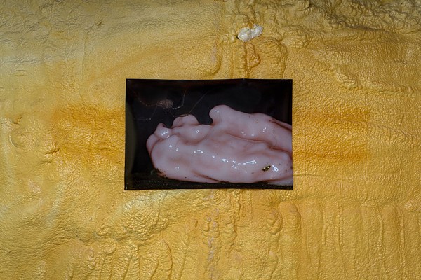 Image 12 of 33