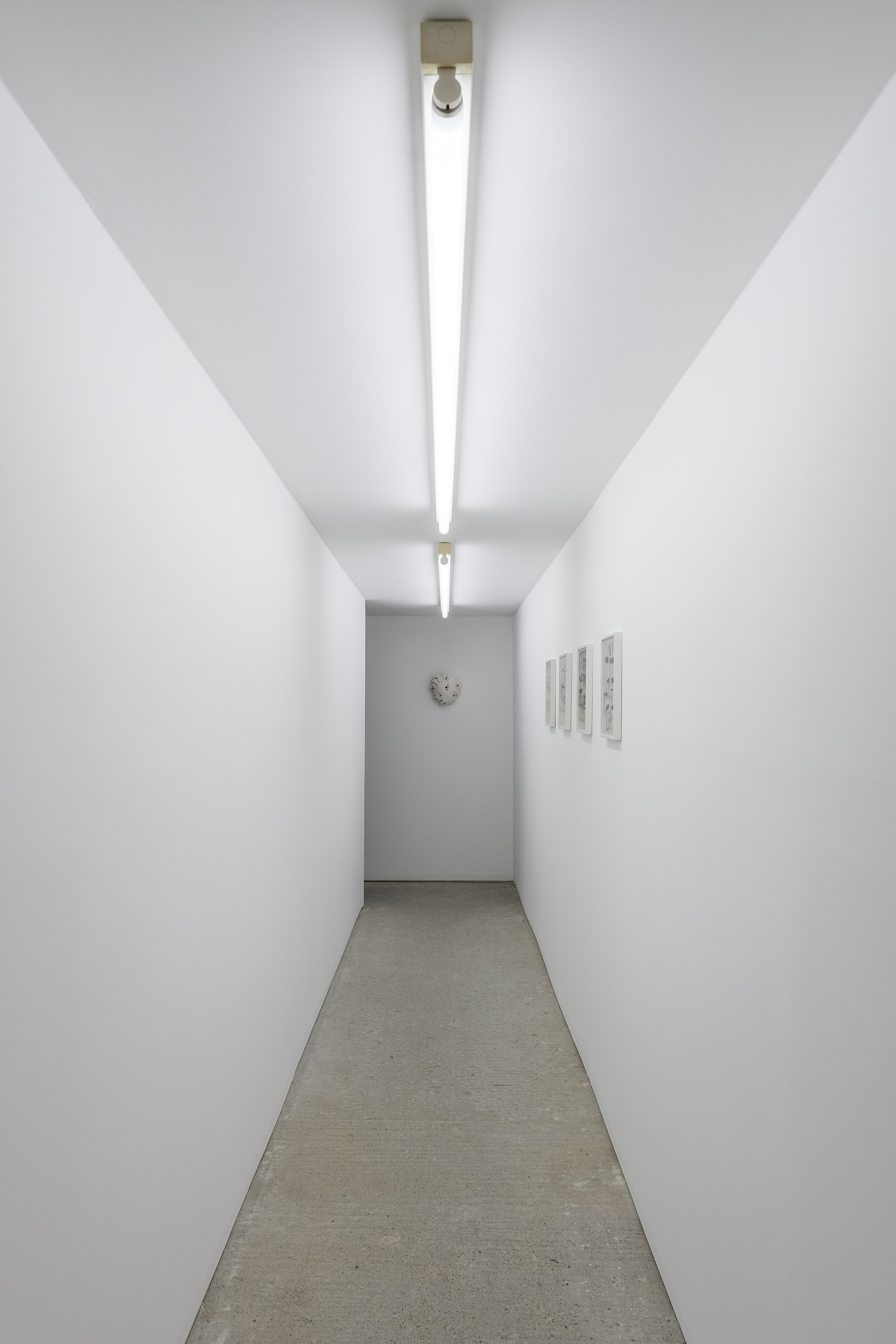 Mark Barker, image 33 of 49