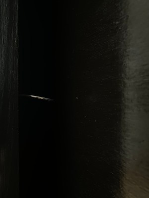 Image 7 of 19