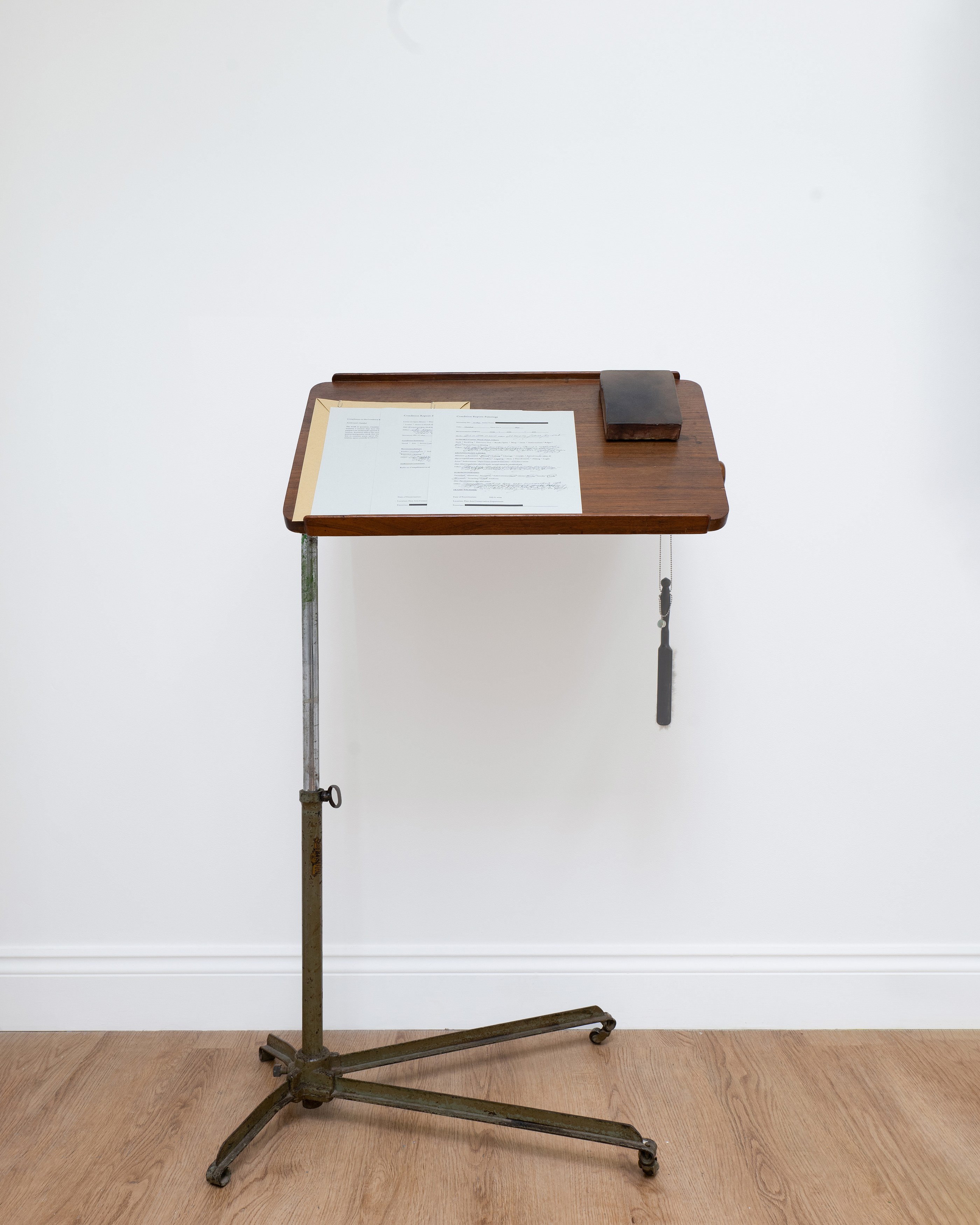 Ella Rose Flood, Boz Deseo Garden, Graham Wiebe, Spectral Fine Arts Trust at Vernal, Utah, photo 14
