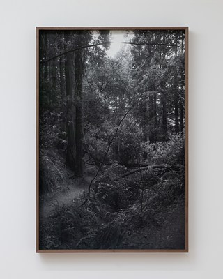 Image 17 of 19