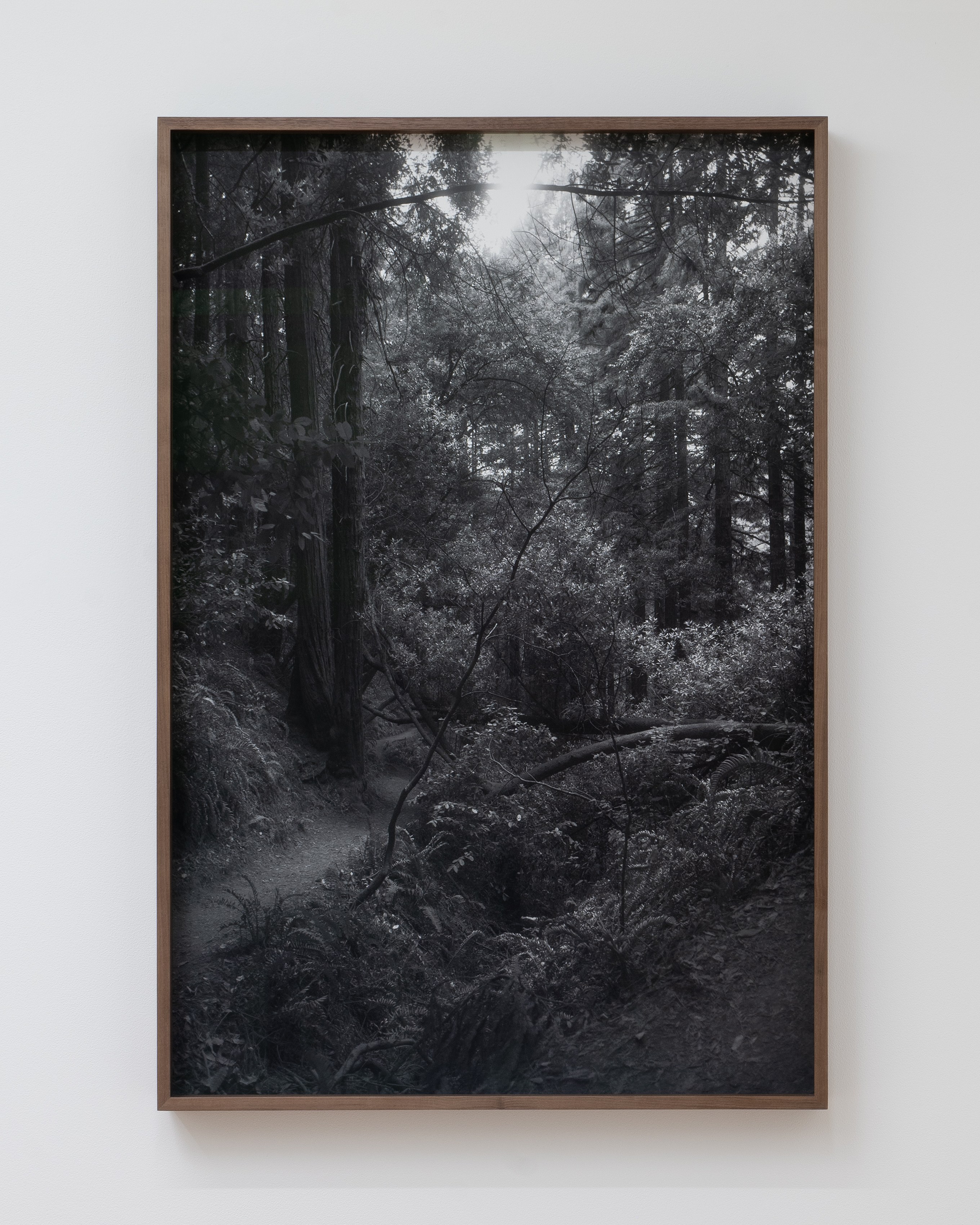 Ella Rose Flood, Boz Deseo Garden, Graham Wiebe, Spectral Fine Arts Trust at Vernal, Utah, photo 17