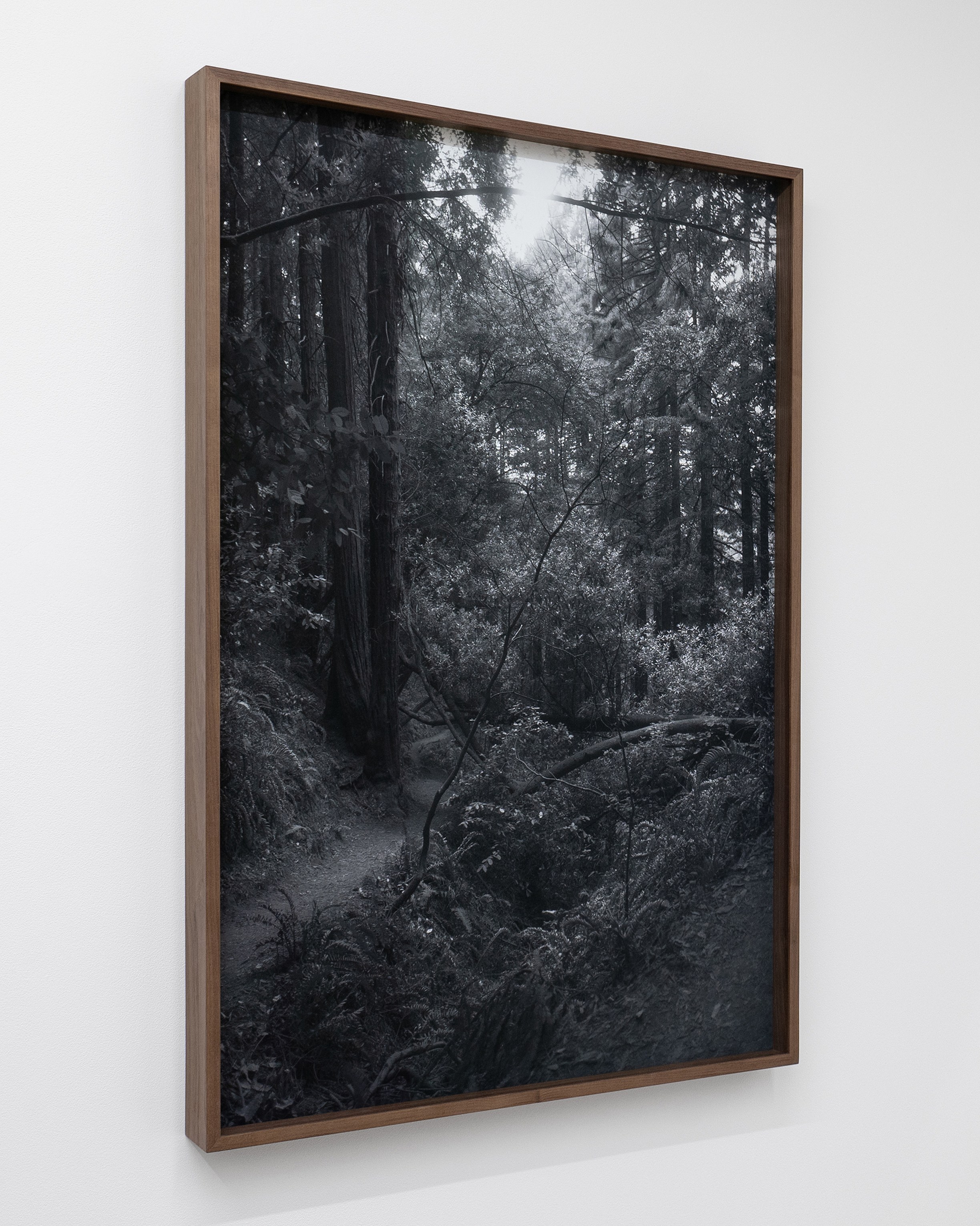 Ella Rose Flood, Boz Deseo Garden, Graham Wiebe, Spectral Fine Arts Trust at Vernal, Utah, photo 18