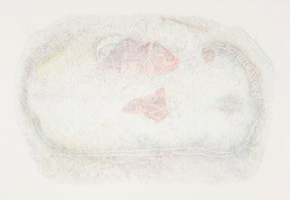 Image 11 of 19