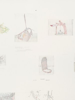 Image 14 of 19
