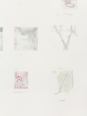 Image 17 of 19
