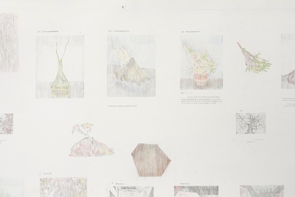 Image 15 of 19